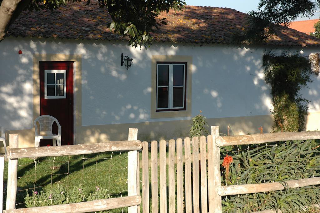 Bed and Breakfast Casa Da Tia Guida Golegã Exterior foto